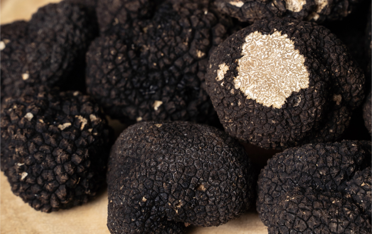 Nunzia Truffle
